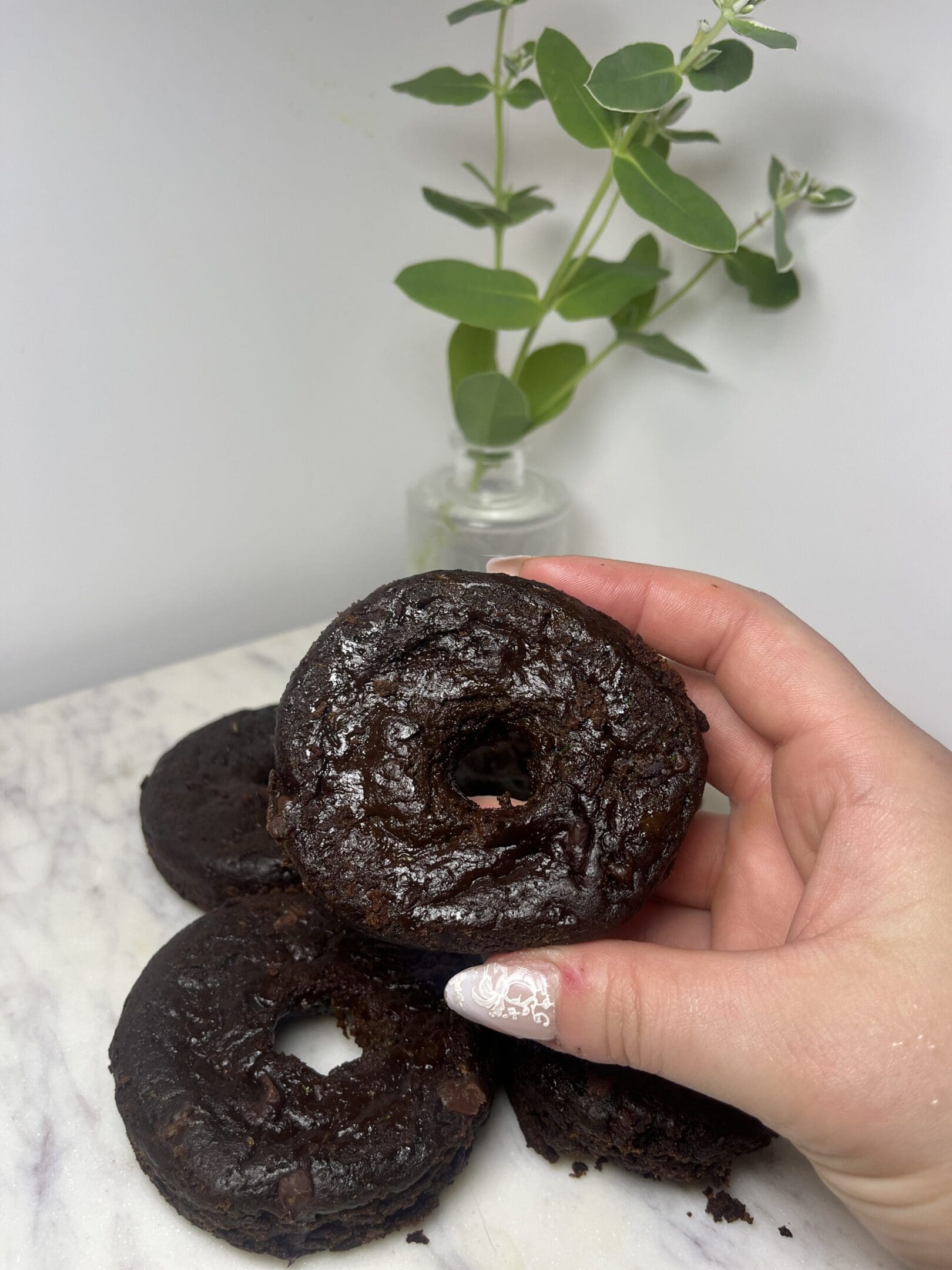 Hand holding a chocolate donut, plant background.