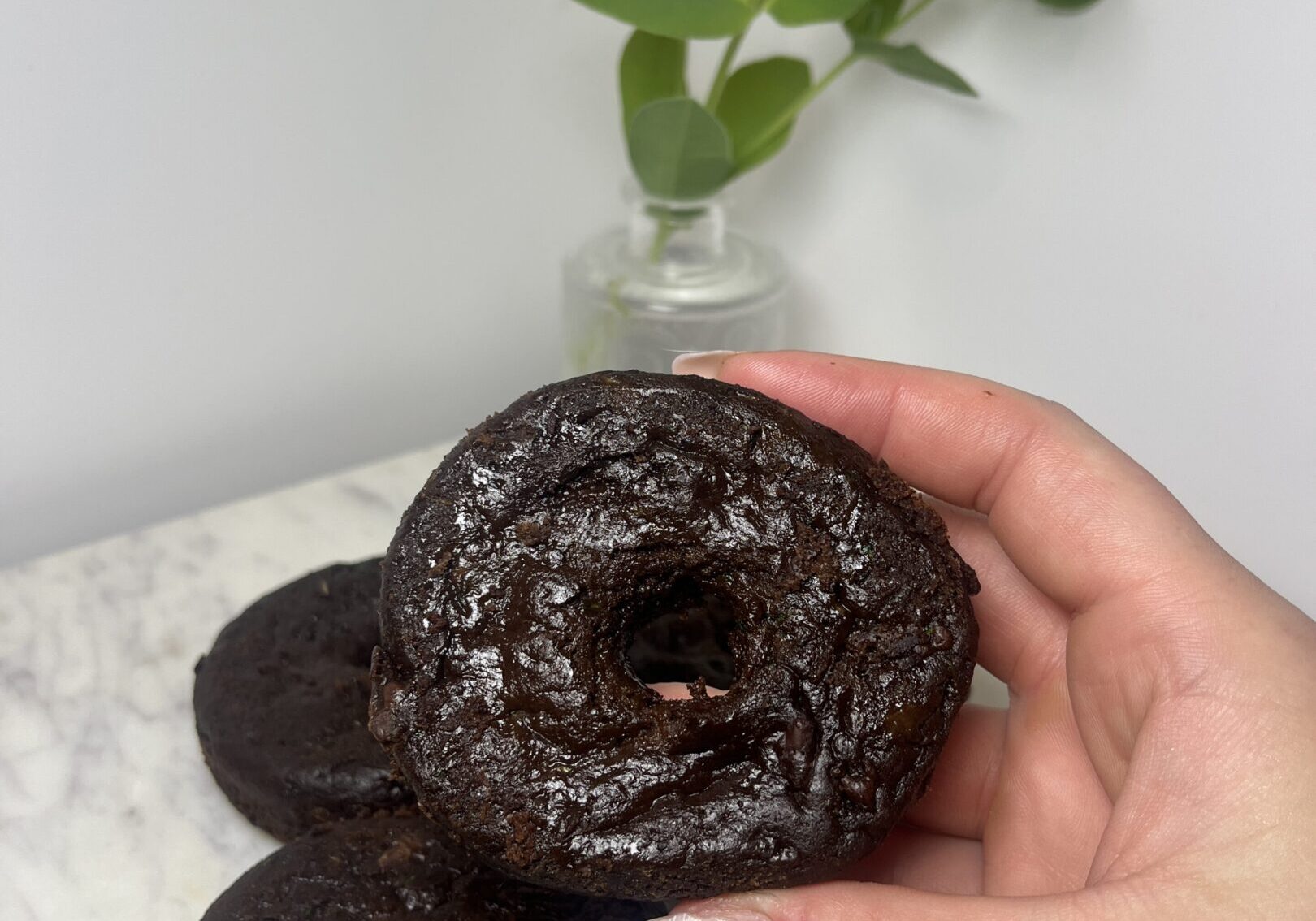 Hand holding a chocolate donut, plant background.